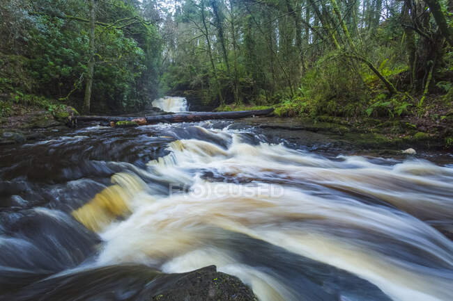 Kaskaden des Clare Glens Flusses an einem bewölkten launischen Tag; County Tipperary, Irland — Stockfoto