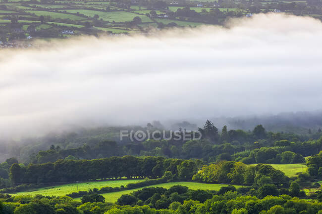 Campos verdes del campo irlandés cubiertos de niebla; Killaloe, Condado de Clare, Irlanda - foto de stock