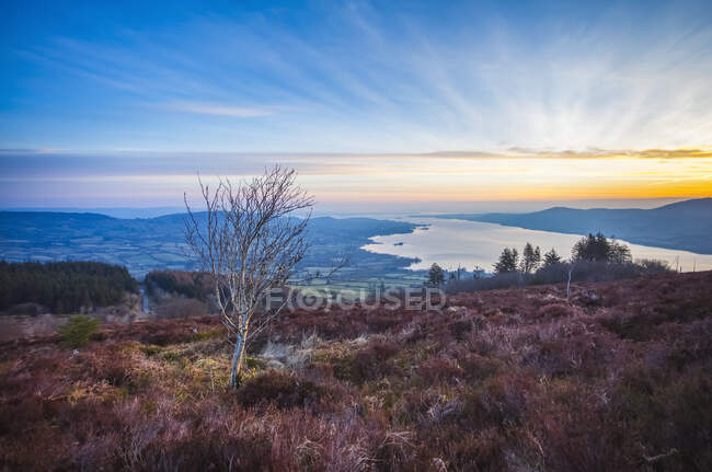 Одинокая березка на холме, окруженном возвышенностями, с видом на озеро на восходе солнца; Киллало, графство Клэр, Ирландия — стоковое фото