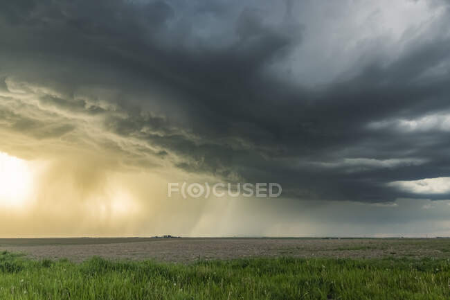 La base d'une supercellule brille au coucher du soleil alors que la tour mère du courant ascendant se penche à travers la prairie ; Arthur, Nebraska, États-Unis d'Amérique — Photo de stock