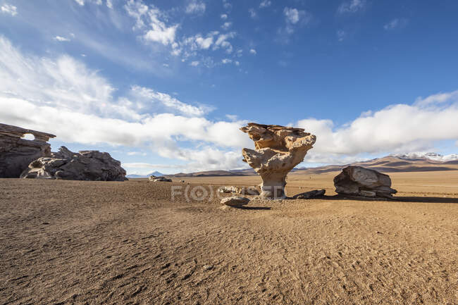 Arbol de Piedra (albero di pietra) formazione rocciosa; Dipartimento di Potosi, Bolivia — Foto stock