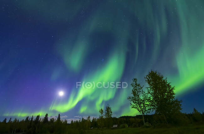 Aurora verde brillante che vorticosa sulla riva del lago Birch, Alaska interna in autunno; Fairbanks, Alaska, Stati Uniti d'America — Foto stock