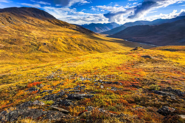 Brooks Mountains und Kuyuktuvuk Creek Valley in herbstlichen Farben unter blauem Himmel. Gates of the Arctic National Park and Preserve, Arctic Alaska im Herbst; Alaska, Vereinigte Staaten von Amerika — Stockfoto