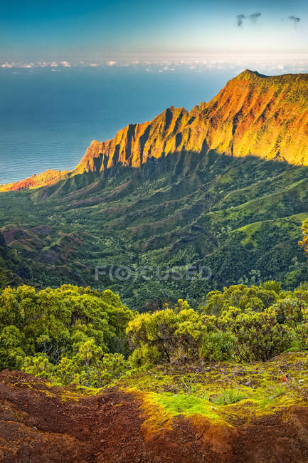 View of Na Pali Coast and Kalalau Valley from Puu O Kila Lookout, sunset glow on the rugged cliff; Kauai, Hawaii, United States of America — Stock Photo