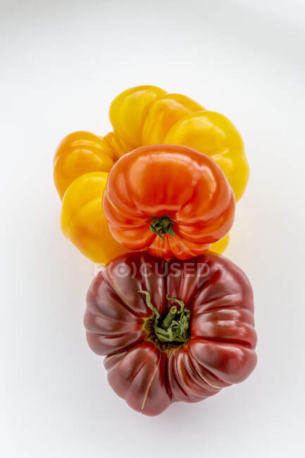 Tres variedades y colores de tomates de reliquia sobre un fondo blanco; Surrey, Columbia Británica, Canadá - foto de stock