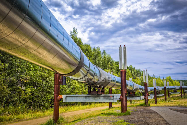 Trans-Alaska Pipeline, Interior Alaska in summertime; Fairbanks, Alaska, United States of America — Stock Photo