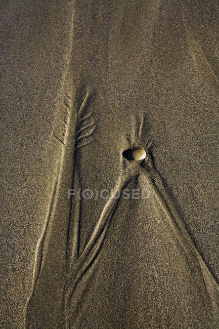 Muster, die durch ausgehendes Wasser im Sand am Strand der Olympischen Halbinsel entstehen; Washington, Vereinigte Staaten von Amerika — Stockfoto