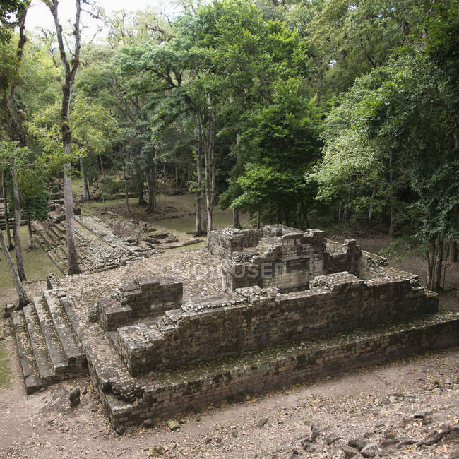 Цивілізація майя; Копан (Гондурас) — стокове фото