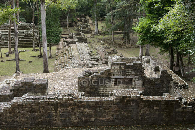 Цивилизация майя; Копан, Гондурас — стоковое фото