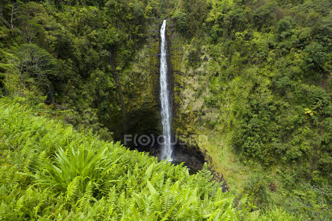 Водоспад Акака; Великий острів, Гаваї, США — стокове фото