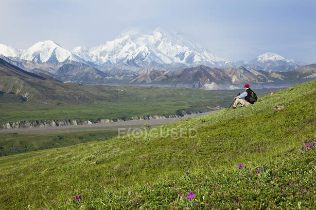 Homme âgé randonnée sur la toundra dans le col Thorofare avec Mt. Mckinley En arrière-plan, Intérieur Alaska, Été — Photo de stock