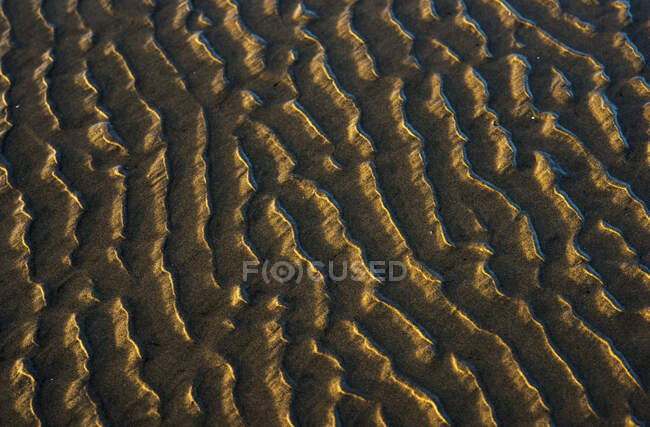 Ebbe zeigt Muster am Strand; Cannon Beach, Oregon, Vereinigte Staaten von Amerika — Stockfoto