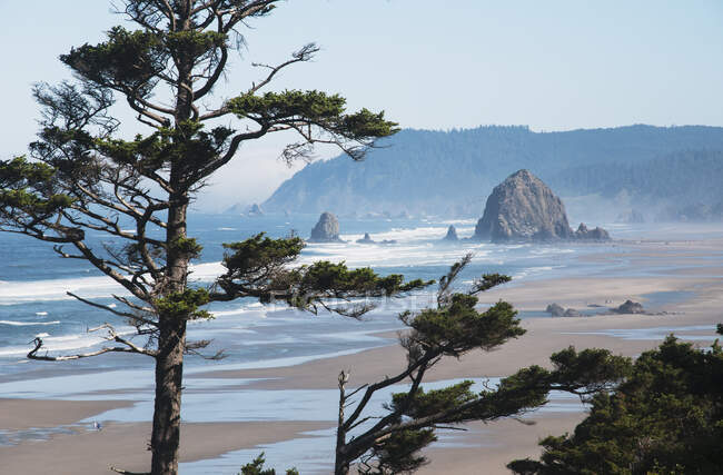 Haystack Rock et Tillamook Head sont des sites bien connus sur la côte de l'Oregon ; Oregon, États-Unis d'Amérique — Photo de stock