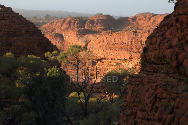 Kings Canyon; Northern Territory, Australien — Stockfoto