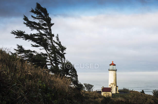 North Head Lighthouse, Cape Disappointment State Park; Ilwaco, Washington, United States Of America — стокове фото