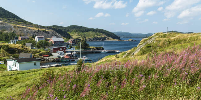 Pueblo de pescadores a lo largo de la costa de Terranova; Trinidad, Terranova y Labrador, Canadá - foto de stock