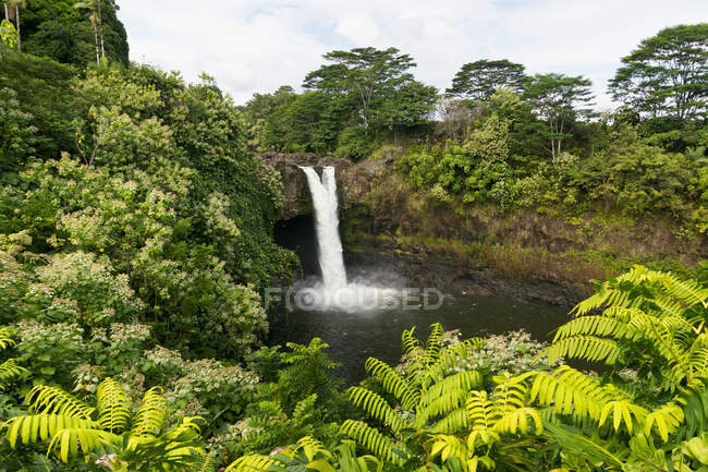 Rainbow Falls; Hilo, Island Of Hawaii, Hawaii, United States Of America — стокове фото