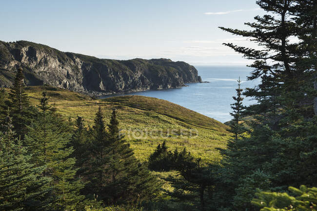 Paesaggio della testa di corvo lungo la costa atlantica; Twillingate, ritrovato e Labrador, Canada — Foto stock