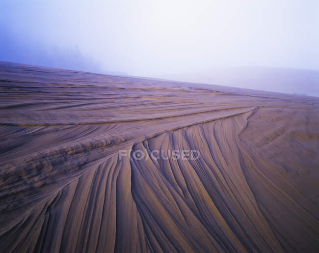 Modelli nella sabbia dalla deriva; Lakeside, Oregon, Stati Uniti d'America — Foto stock