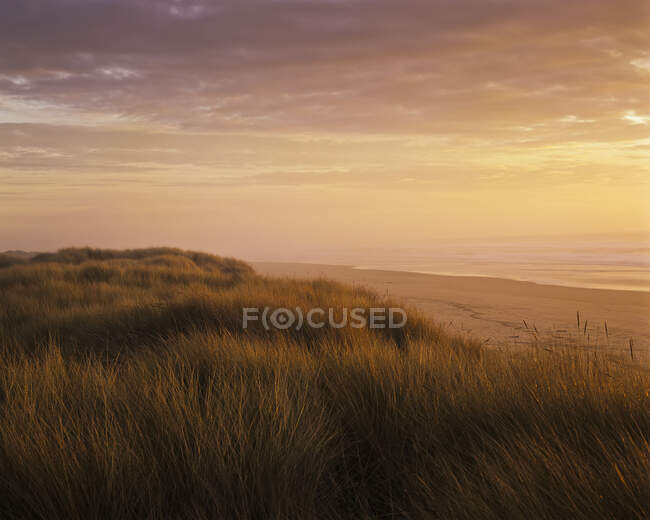 Sunset Light a Umpqua Beach; Winchester Bay, Oregon, Stati Uniti d'America — Foto stock