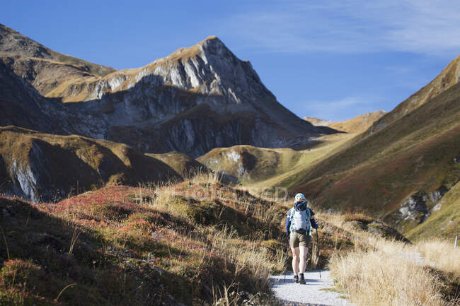 Wanderin unterwegs mit grasbewachsenen Hängen und Berggipfeln; Hintertux, Österreich — Stockfoto