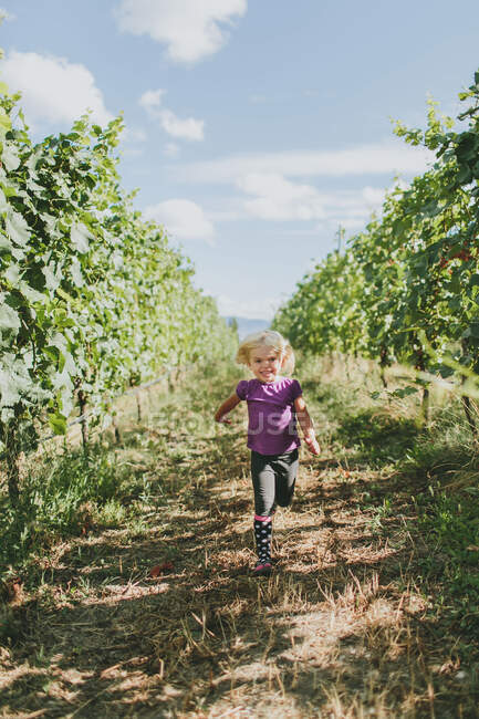 A Young Girl Walking Down A Path Between The Rows Of Trees In An Orchard; Peachland, British Columbia, Canada — Stock Photo