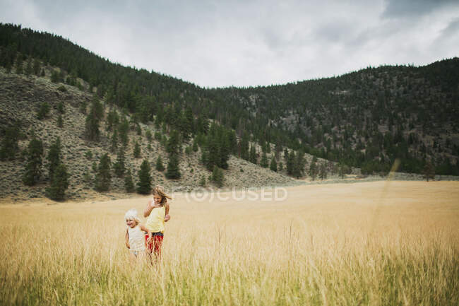 Dos chicas jóvenes caminando en la hierba alta de un campo; Peachland, Columbia Británica, Canadá - foto de stock