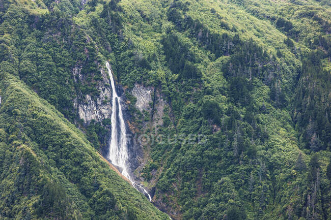 Wasserfall verschüttet eine grüne bewaldete Berghälfte, Prince William Sound; Whittier Alaska, Vereinigte Staaten von Amerika — Stockfoto