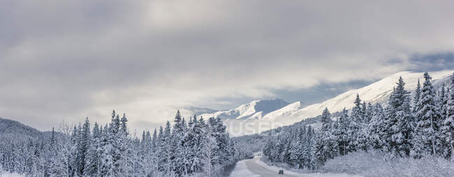 Nubes que se despejan sobre la autopista Seward desde las montañas de Kenai arriba vuelven a pasar después de una tormenta de nieve de invierno, nieve fresca en los árboles, sol de la madrugada, paso Turnagain, bosque nacional de Chugach, suroeste de Alaska, EE.UU.. - foto de stock