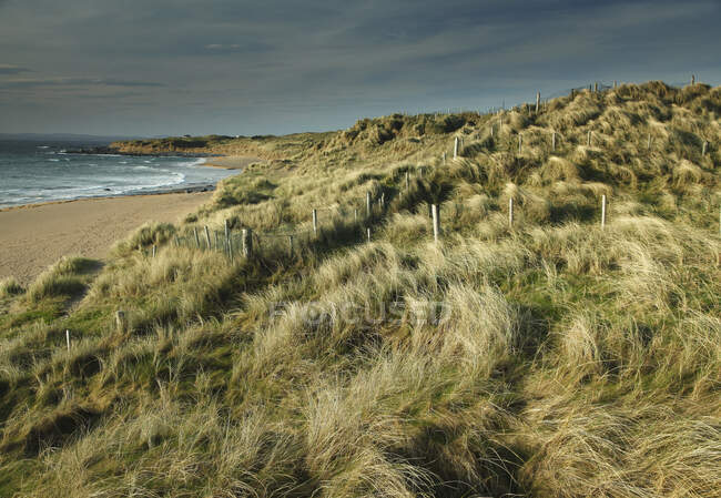 Fanore Beach en la ruta costera costera del Atlántico; Condado de Clare, Irlanda - foto de stock