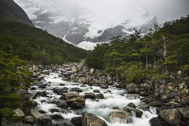 Valle Francese, Parco Nazionale Torres Del Paine; Torres Del Paine, Regione Magallanes E Antartica Chilena, Cile — Foto stock