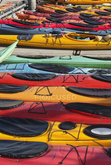 Kayak multicolori insieme al molo della barca, Prince William Sound; Valdez, Alaska, Stati Uniti d'America — Foto stock