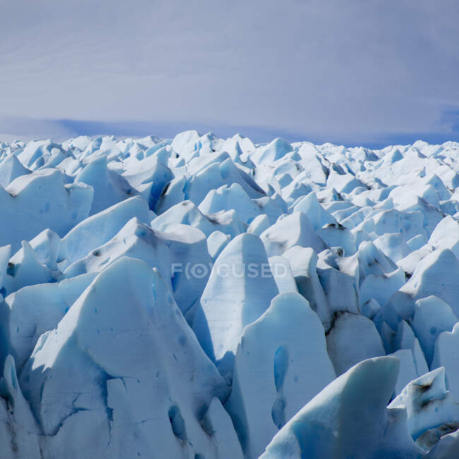Glaciar Grey, Parque Nacional Torres Del Paine; Región Torres Del Paine, Magallanes y Antártida Chilena, Chile - foto de stock