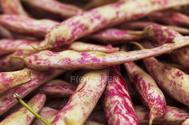 Frijoles de lengua de dragón en un mercado de agricultores - foto de stock