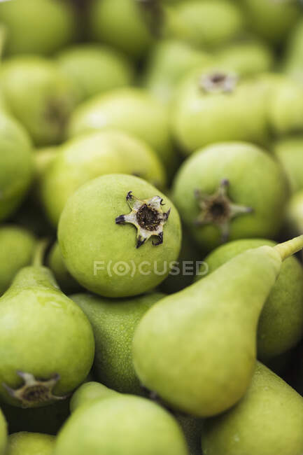 Small, Green Croatian Pears; Toronto, Ontario, Canada — Stock Photo