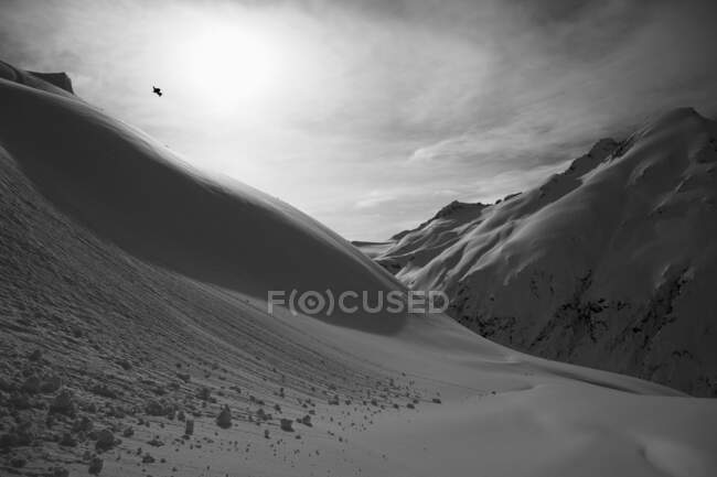 Snowboarder macht einen Trick Mid-Air; Haines, Alaska, Vereinigte Staaten von Amerika — Stockfoto