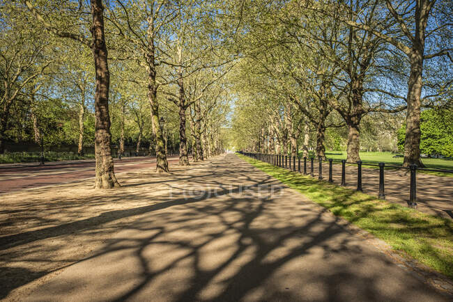 Voie cyclable Green Park à l'heure de pointe du matin pendant le confinement national, Covid-19 World Pandemic ; Londres, Angleterre — Photo de stock