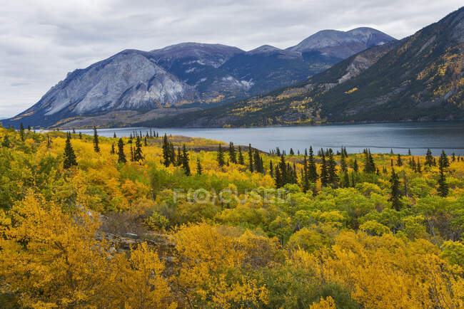 Paesaggio autunnale del lago Tagish a sud di Whitehorse, Yukon Territory, Canada — Foto stock