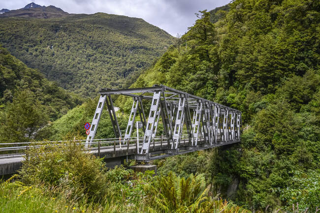 Puertas de Haast, Parque Nacional Mount Aspiring, Isla Sur; Región de la Costa Oeste, Nueva Zelanda - foto de stock