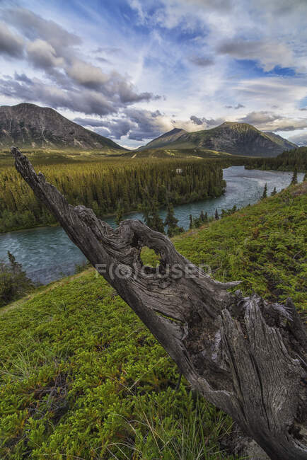 Il fiume Takhini scorre attraverso una valle vicino al lago Kusawa, con un vecchio tronco d'albero sulla collina al tramonto; Yukon — Foto stock