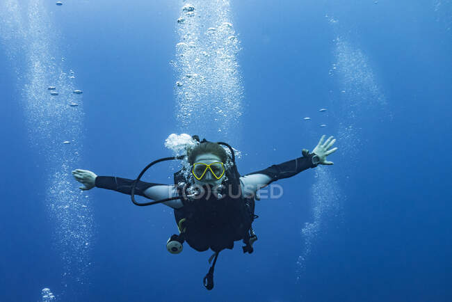 Immersione subacquea presso il sito Three Amigos Dive, Belize Barrier Reef; Belize — Foto stock
