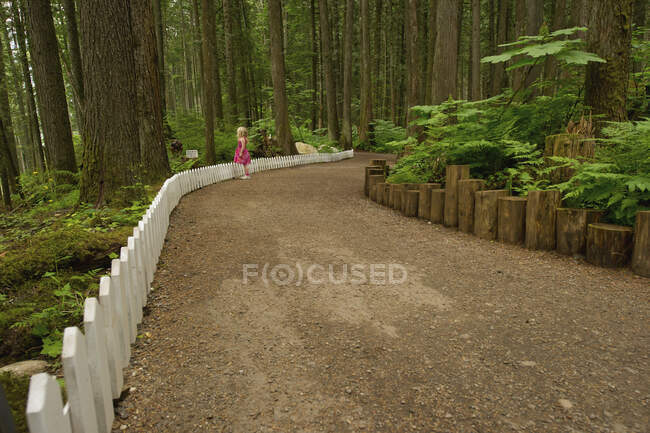 Une jeune fille debout le long du chemin entourée de grands arbres dans une forêt ; Colombie-Britannique, Canada — Photo de stock