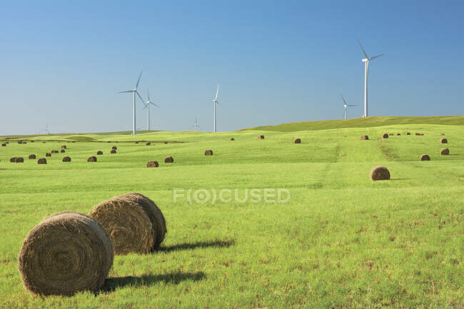 Fardos de feno em um campo verde com turbinas eólicas contra um céu azul; Alberta, Canadá — Fotografia de Stock