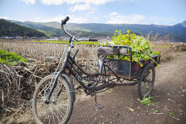 Bicyclette à trois roues avec légumes ; Lijiang, province du Yunnan, Chine — Photo de stock