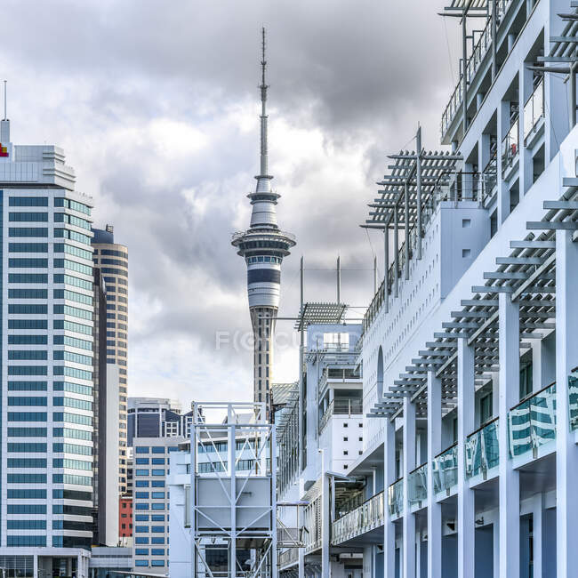 Sky Tower, una torre de telecomunicaciones y observación; Auckland, Nueva Zelanda - foto de stock