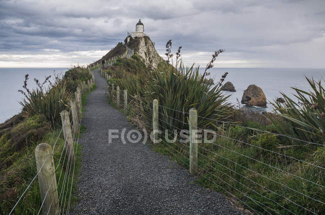 Nugget Point, Nouvelle-Zélande — Photo de stock