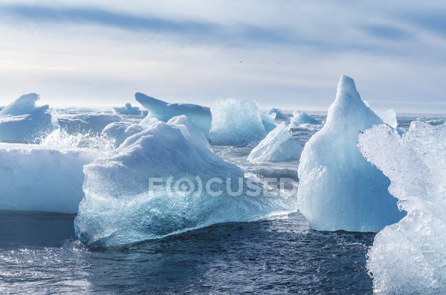 Trozos de iceberg a flote - foto de stock