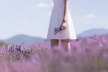 Young woman holding flowers and walking through a field of purple blossoms — Stock Photo