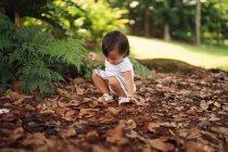 Молода маленька дівчинка грає з листям в парку — стокове фото