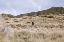 Joven corriendo por el Parque Nacional Mountain Cook en Nueva Zelanda - foto de stock